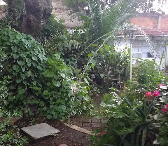 - Coyoacan Mexico City