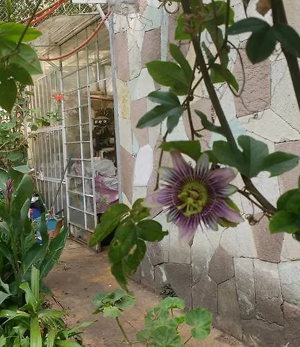 - Coyoacan Guest house *