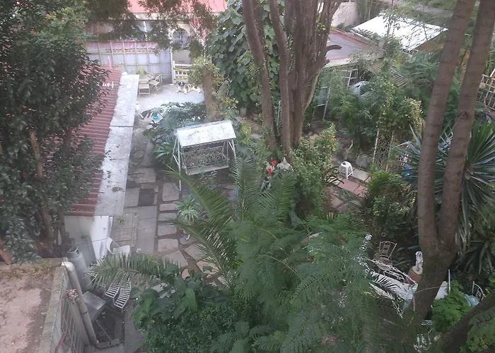 - Coyoacan Guest house Mexico City