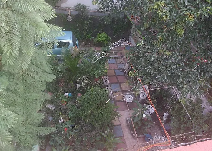 - Coyoacan
